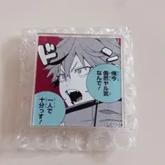 2026年最新】極楽街 缶バッジの人気アイテム - メルカリ