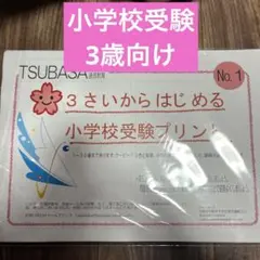 2026年最新】tsubasa通信教育の人気アイテム - メルカリ