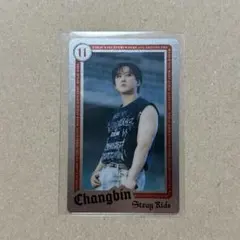 Stray Kids ライブフォトカード チャンビン
