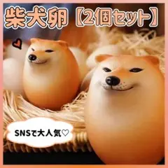 柴犬 卵 スクイーズ しばこ SNS 低反発 しばき 芝犬 おもちゃ 2個 11
