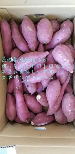 新物10キロ茨城県紅はるか通常S&2Sメイン少し訳ありサツマイモ減農薬栽培