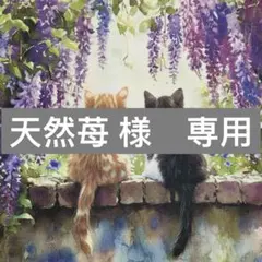 天然苺様　専用