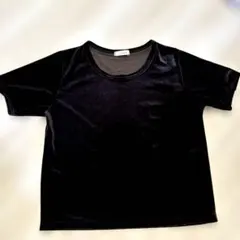 【新品タグ付き】しまむら　ベロアTシャツ　ブラウン　L