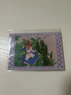 CCさくらトレカ カードダス♡大道寺知世 - メルカリ