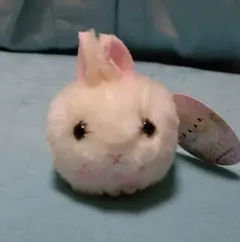 2025年最新】うさだまぬいぐるみの人気アイテム - メルカリ