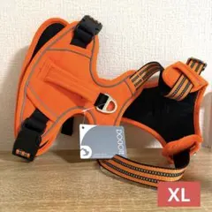 Item thumbnail for item 267fb2be-b9dc-443b-93a3-bb117242c581