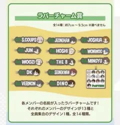 PetiTEEN from SEVENTEEN ラバーチャーム賞　ドギョム