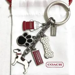 COACH ステゴサウルス スケルトン バッグ チャーム - メルカリ