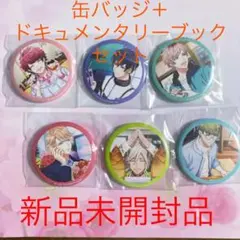 A3!ドキュメンタリーブック 春組 缶バッジセット