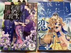 TL小説2冊セット　東 万里央