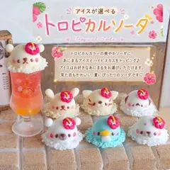 ☆(きゅう様専用！)絶産！コロラドスイートホーム鉱山インカローズ卵