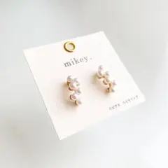 OKけいこ様専用　ねじ式イヤリング