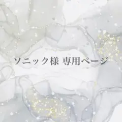 ※ソニック様専用ページ