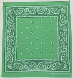 デッドストック ライトニング レアカラー 13960 ビンテージバンダナ1420 デッドストック ライトニング レアカラー 13960 ビンテージ