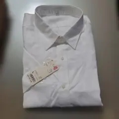 Item thumbnail for item 86c8c8ef-3ca5-4046-a1b1-7f99d7b8d2b1