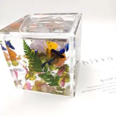 ブルームアクア hikka (ヒッカ) フレーム プリザーブドフラワー ギフト