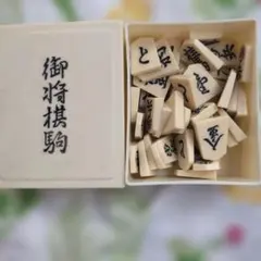 Item thumbnail for item 4f89269c-c7ac-43e9-abba-a5a8c631e01d