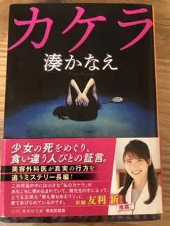 Item thumbnail for item 4adb129b-98d3-4237-8e27-c6f6c37327d9