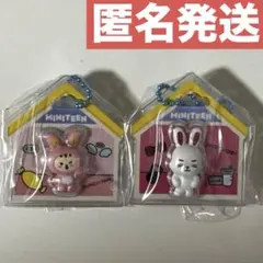 miniteen ミニティーン　パッケージチャーム　トラム　チェチェリー　未開封