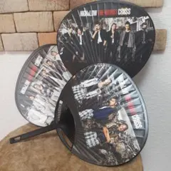 HIGH ＆ LOW THEWORST CROSS ミニうちわ