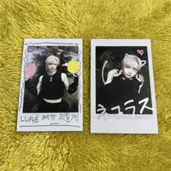 &team アルバム タレントカード