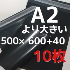きれいめカラー☆超特大サイズ⭐️ 500×600 宅配ビニール袋 超特大