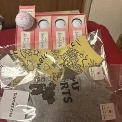 Item thumbnail for item 0d2050a2-d87f-42e3-bfdb-bead6ffacfe5