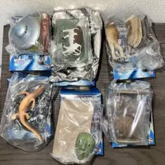 ☆大神秘博物館◇第3集◇ノーマル・コンプ☆12種セット - メルカリ