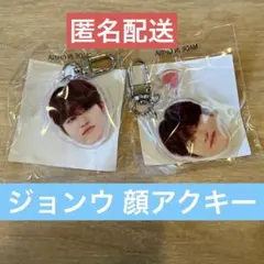 【バラ売り可】treasure 顔アクキー　ジョンウ