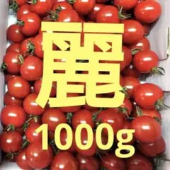 麗トマト　1キロ　コンパクトボックスでのサムネイル