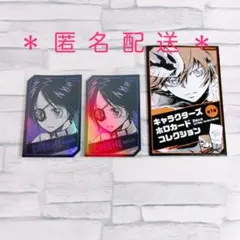 家庭教師ヒットマンREBORN！ リボーン ホロカードコレクション - メルカリ