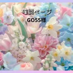GO55様専用