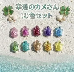 【数量限定】韓国　幸運のカメさん 10色セット