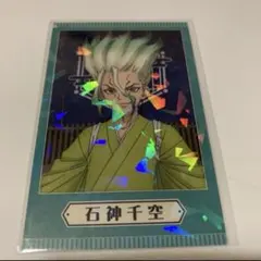 Dr.STONE ミックスガーデン 硬質カード イラストカード 石神千空