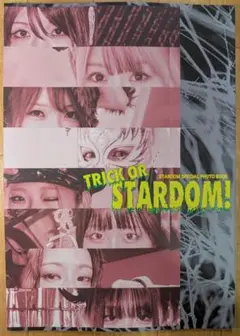 安納サオリ 写真集 新品未開封 スターダム STARDOM Photo Book 安納サオリ 写真集 新品未開封 スターダム STARDOM Photo Book