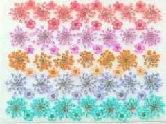 COCORO様 リクエスト 2点 まとめ商品