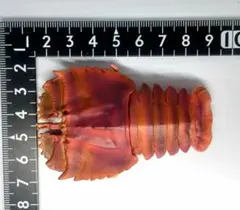 Item thumbnail for item 501e32b2-09ba-4c6e-adad-66f1c8cbd50a