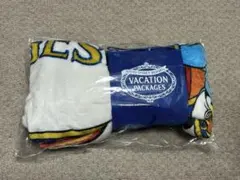 【ディズニー】バケーションパッケージ　ブランケット