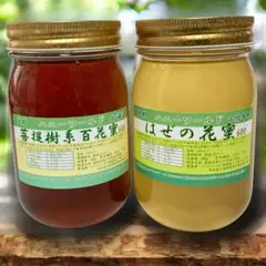 純国産 れんげ黄金蜂蜜 非加熱 生はちみつ 1kg 大分県玖珠郡原産