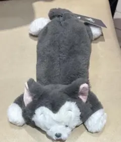 ディズニーストア　フィガロ　春まつりくじ　春まつり　ペンケース