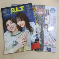 Item thumbnail for item 08557471-eb3b-472f-85e4-d8f433b0ecbb