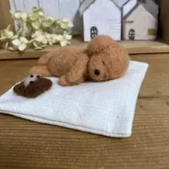 羊毛フェルト　ぬいぐるみと眠るトイプードル