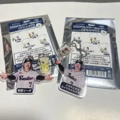 ヤクルトスワローズ 長岡