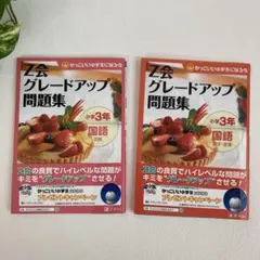 Z会★グレードアップ問題集小学3年国語2冊セット