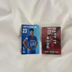 ラリー・エバデダン グッズ2点セット