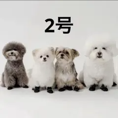 Item thumbnail for item 9ede9ab6-69e2-4564-96ce-4da6eb2df8c3