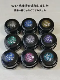 筆用洗浄液付 マグネット ジェルネイル 9個セット