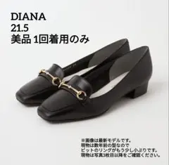 4/25迄2000円OFF✨️超美品1回着用✨️DIANA定価14850円ビット