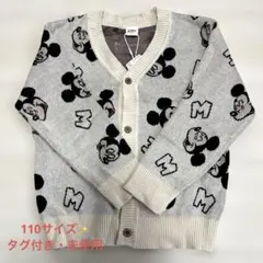 Item thumbnail for item aaea654b-5f1c-4d16-95df-d53c684e9d2d