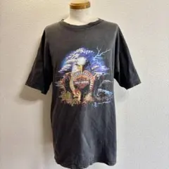 USA製 90s 希少 サンダー thunder ハーレーダビッドソン Tシャツ